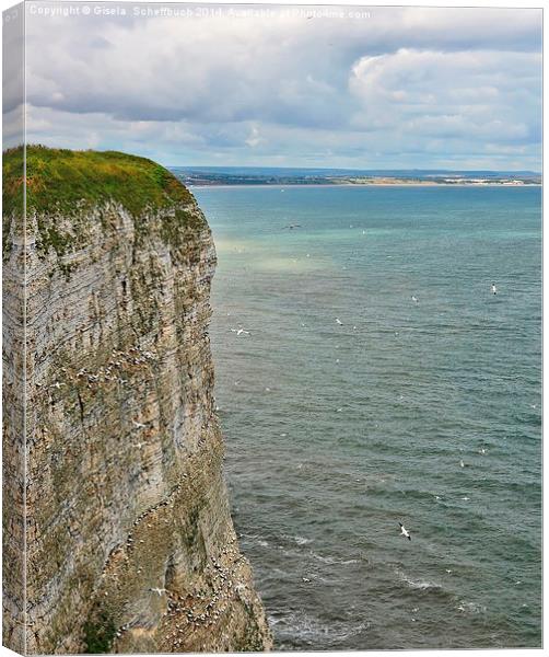  Bempton Cliffs Canvas Print by Gisela Scheffbuch