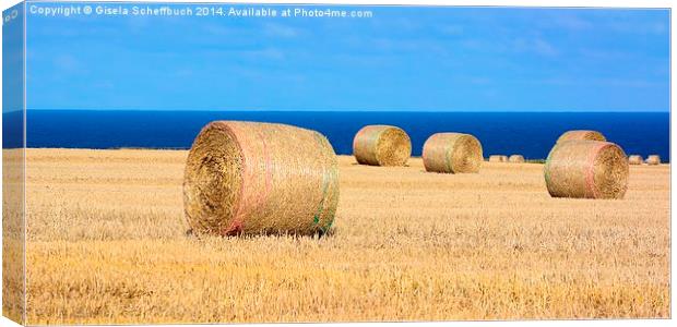  Bales of Straw on the Coast Canvas Print by Gisela Scheffbuch