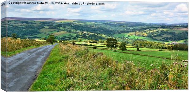  North York Moors Scenery near Grosmont Canvas Print by Gisela Scheffbuch