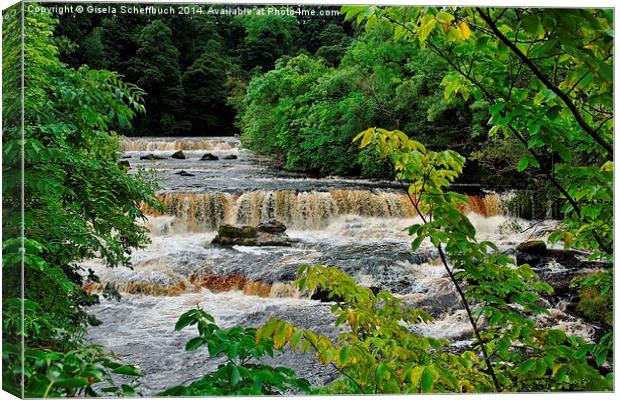 Aysgarth Upper Falls Canvas Print by Gisela Scheffbuch