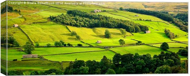  Evening Sun in Swaledale Canvas Print by Gisela Scheffbuch