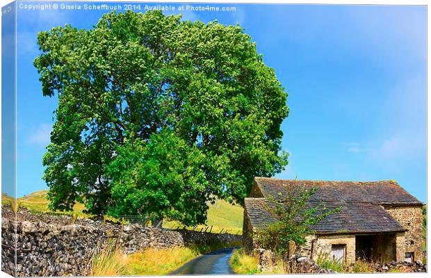  Malhamdale Idyll Canvas Print by Gisela Scheffbuch