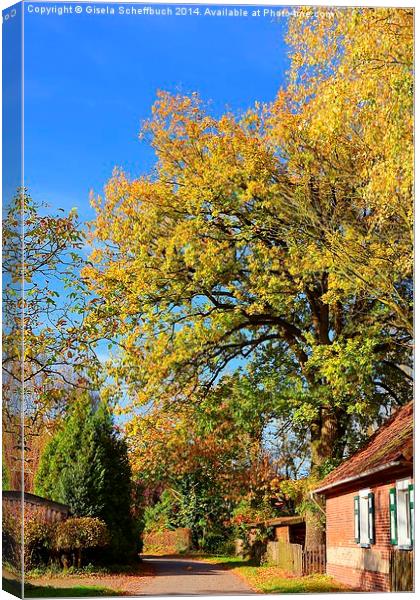  German  Village Street in Autumn Canvas Print by Gisela Scheffbuch
