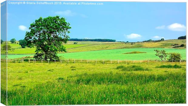  Northumberland Scenery Canvas Print by Gisela Scheffbuch