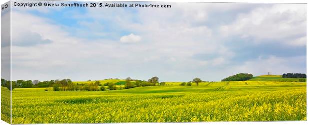  Rape Fields in Northern Germany Canvas Print by Gisela Scheffbuch