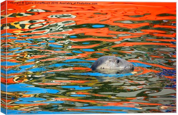  Swimming in Colourful Water Canvas Print by Gisela Scheffbuch