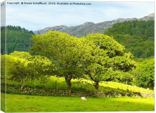 Welsh Scenery - Another Version Canvas Print by Gisela Scheffbuch
