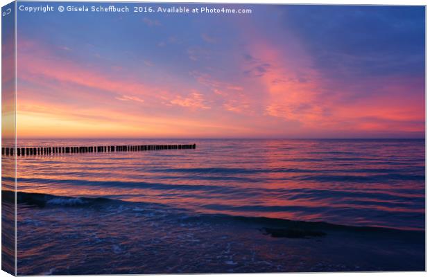 Sunset at the Baltic Sea Canvas Print by Gisela Scheffbuch