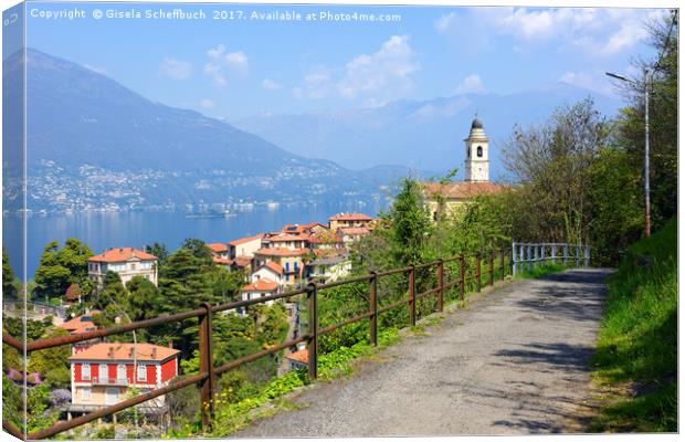 Pino sulla Sponda del Lago Maggiore Canvas Print by Gisela Scheffbuch