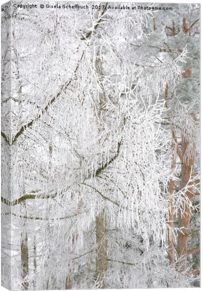 Frosted Tree Canvas Print by Gisela Scheffbuch