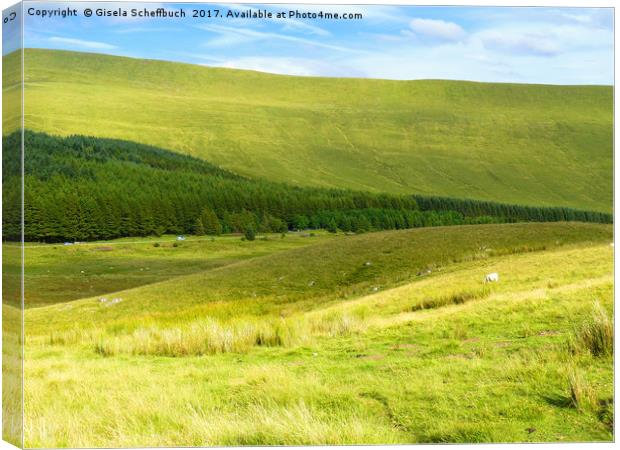 Brecon Beacons National Park II Canvas Print by Gisela Scheffbuch