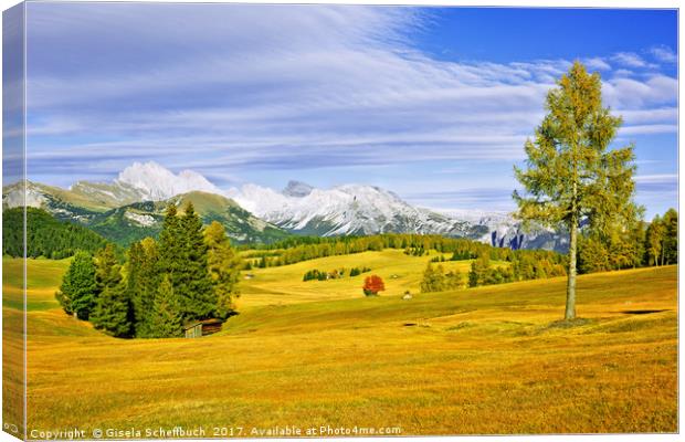 Alpe di Siusi in Autumn Canvas Print by Gisela Scheffbuch