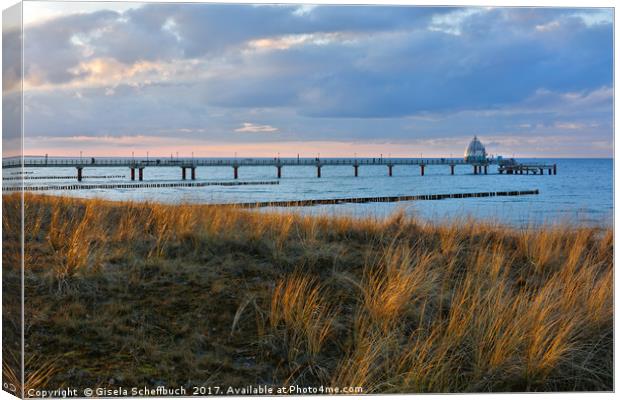 An Evening at the Baltic Sea in Spring Canvas Print by Gisela Scheffbuch