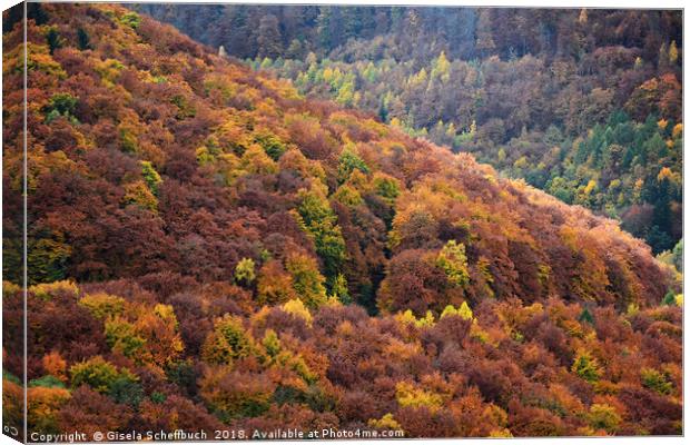 Beautiful Autumn Foliage in the Harz Mountains Canvas Print by Gisela Scheffbuch