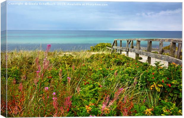 Late Summer on the Baltic Sea Canvas Print by Gisela Scheffbuch