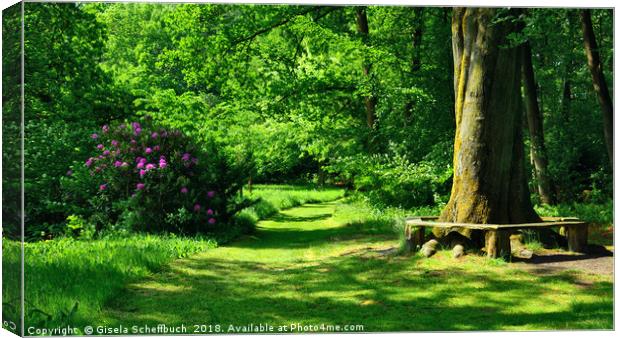An Idyllic Green Scenery in Breiding's Garden Canvas Print by Gisela Scheffbuch