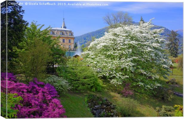 Villa Taranto Gardens Canvas Print by Gisela Scheffbuch