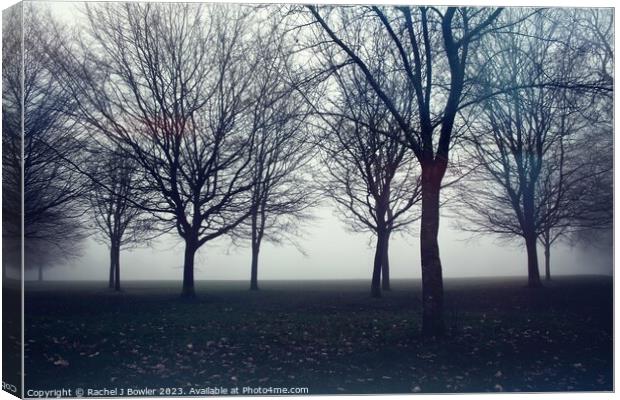 Enchanting Winter Wonderland Canvas Print by RJ Bowler