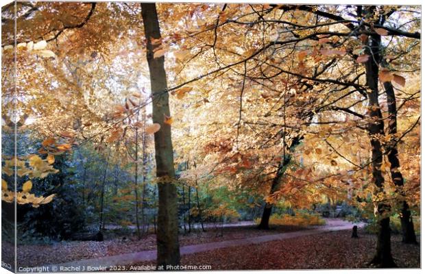 Forever Autumn Canvas Print by Rachel J Bowler