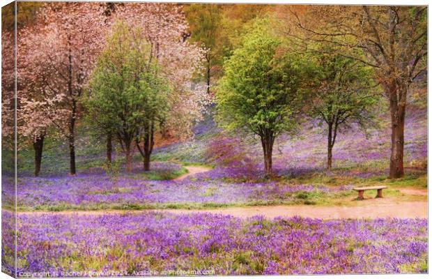 Blossom and Bluebells Canvas Print by RJ Bowler