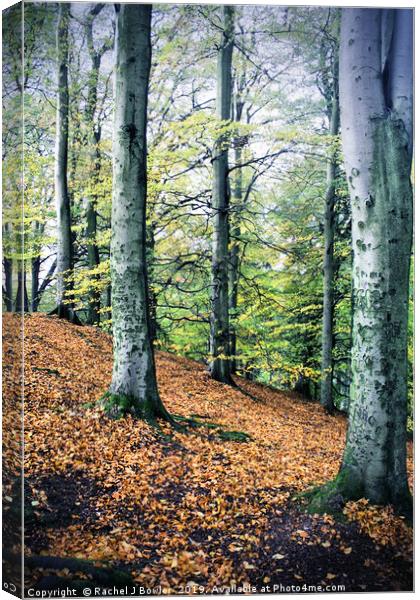 Vibrant Forest Canvas Print by RJ Bowler