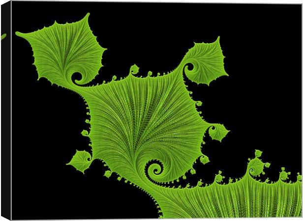 Green floral fractal art Canvas Print by Matthias Hauser