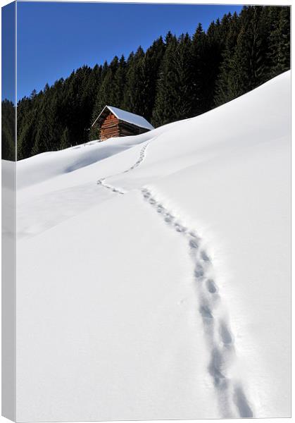Foot prints in the snow Canvas Print by Matthias Hauser