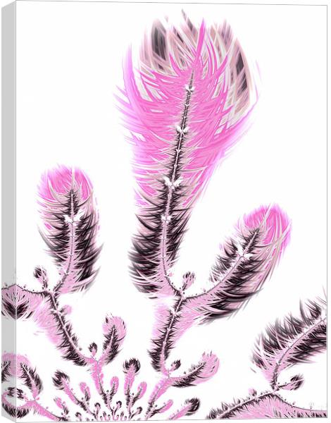 Pink fractal flower art Canvas Print by Matthias Hauser