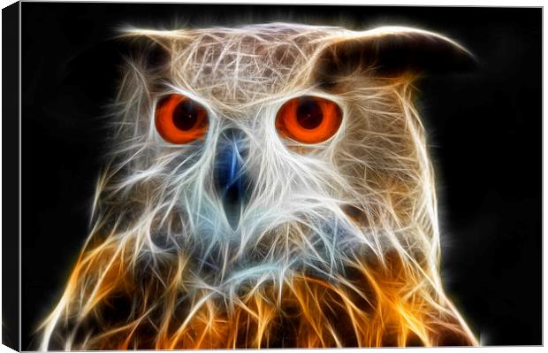 Owl fractal art Canvas Print by Matthias Hauser