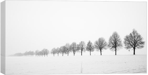 Minimalist winter landscape with trees Canvas Print by Matthias Hauser