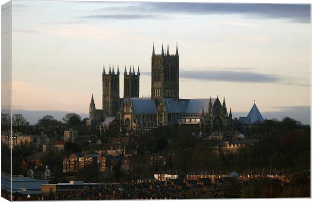 Lincoln City and its cathedral Canvas Print by Tim  Senior