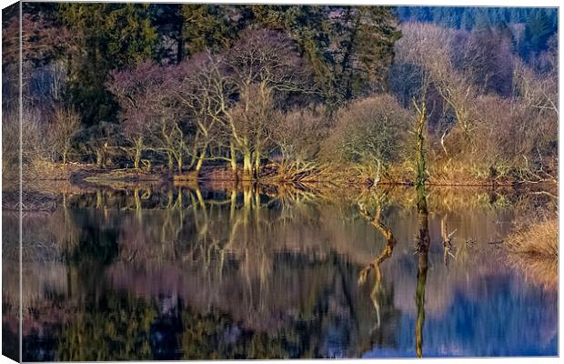 River Reflections Canvas Print by Adrian Hargan