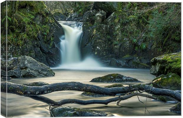 Scottish Waterfall Canvas Print by Adrian Hargan