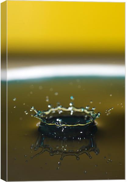 Water Droplet Yellow/Green Canvas Print by Jade Wylie