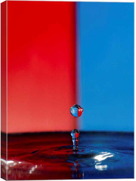 Water Droplet Red/Blue Canvas Print by Jade Wylie