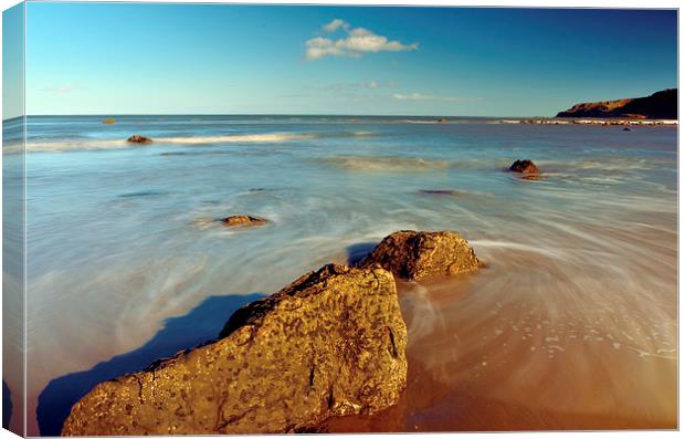 Alone in the Rocks Canvas Print by Andrew McCauley