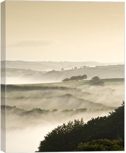 Morning Mist from Winsford Hill Canvas Print by Nick Pound