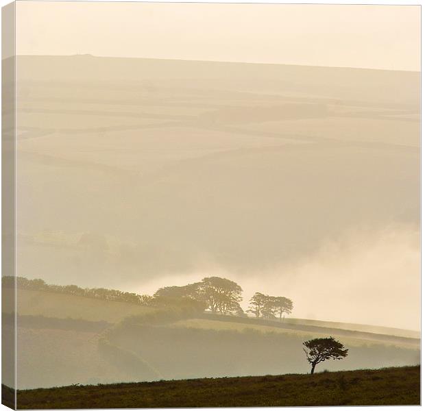 Morning Mist from Winsford Hill Canvas Print by Nick Pound
