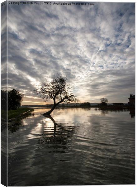 The River Parrett in Flood Canvas Print by Nick Pound