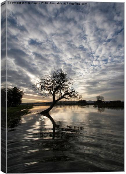 The River Parrett in Flood at sunrise Canvas Print by Nick Pound