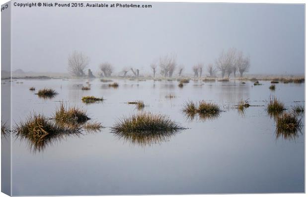Wetland Willows  Canvas Print by Nick Pound