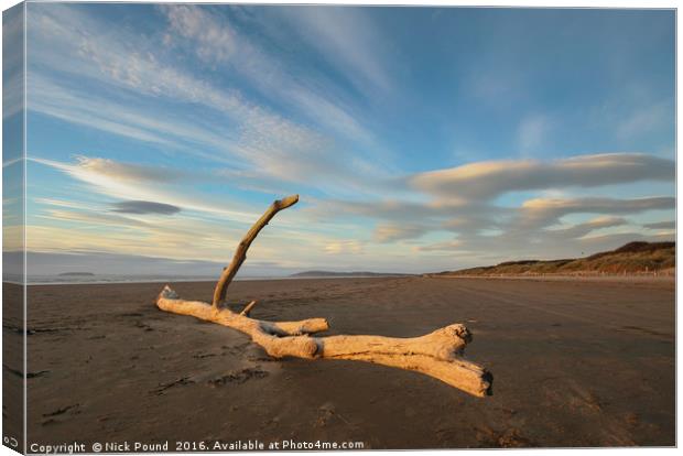 Driftwood Canvas Print by Nick Pound