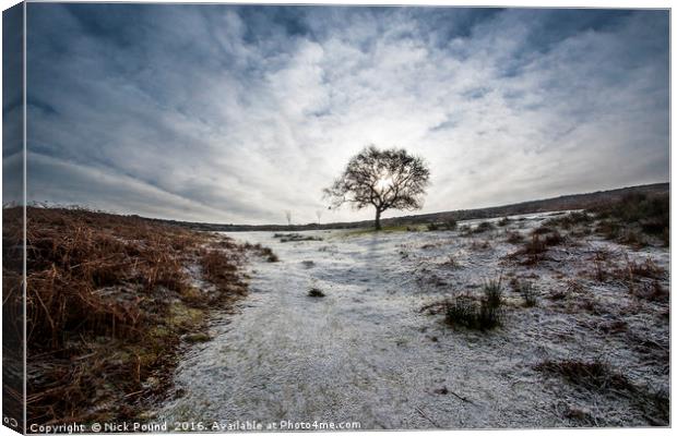 A Cold Morning on the Quantock Hills Canvas Print by Nick Pound