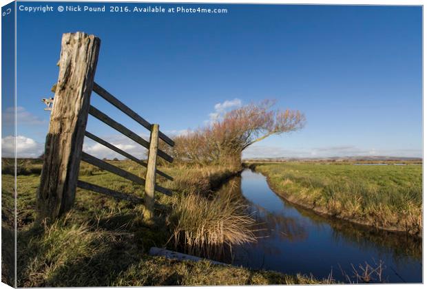 Gatepost and Ditch on the Somerset Levels Canvas Print by Nick Pound