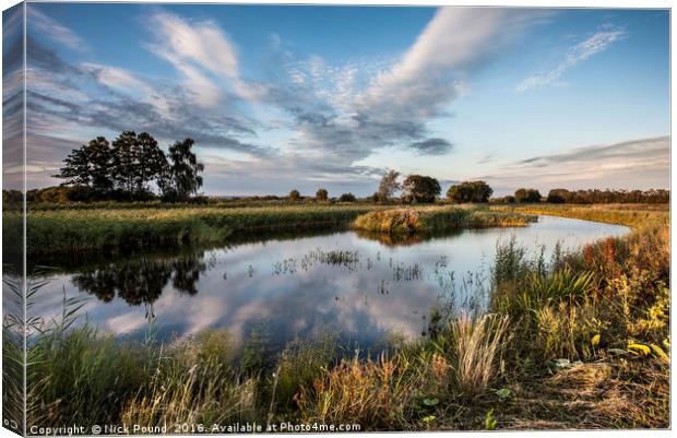 Ham Wall Nature Reserve Canvas Print by Nick Pound