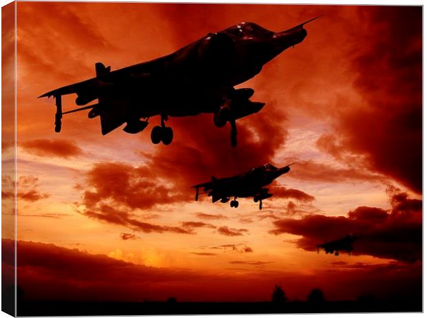 Harriers at sun rise Canvas Print by sean clifford