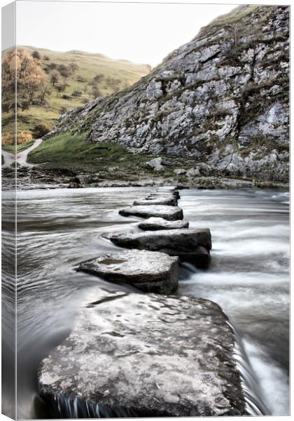 Stepping stones Canvas Print by sean clifford