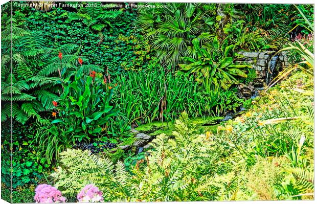  Colours of Cornwall's Great Gardens Canvas Print by Peter Farrington