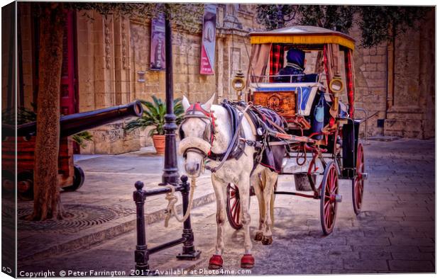 Travel In Malta Is Very Chilled. Canvas Print by Peter Farrington