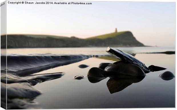 Reflected Pebbles Canvas Print by Shaun Jacobs